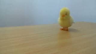 YouTube video 3